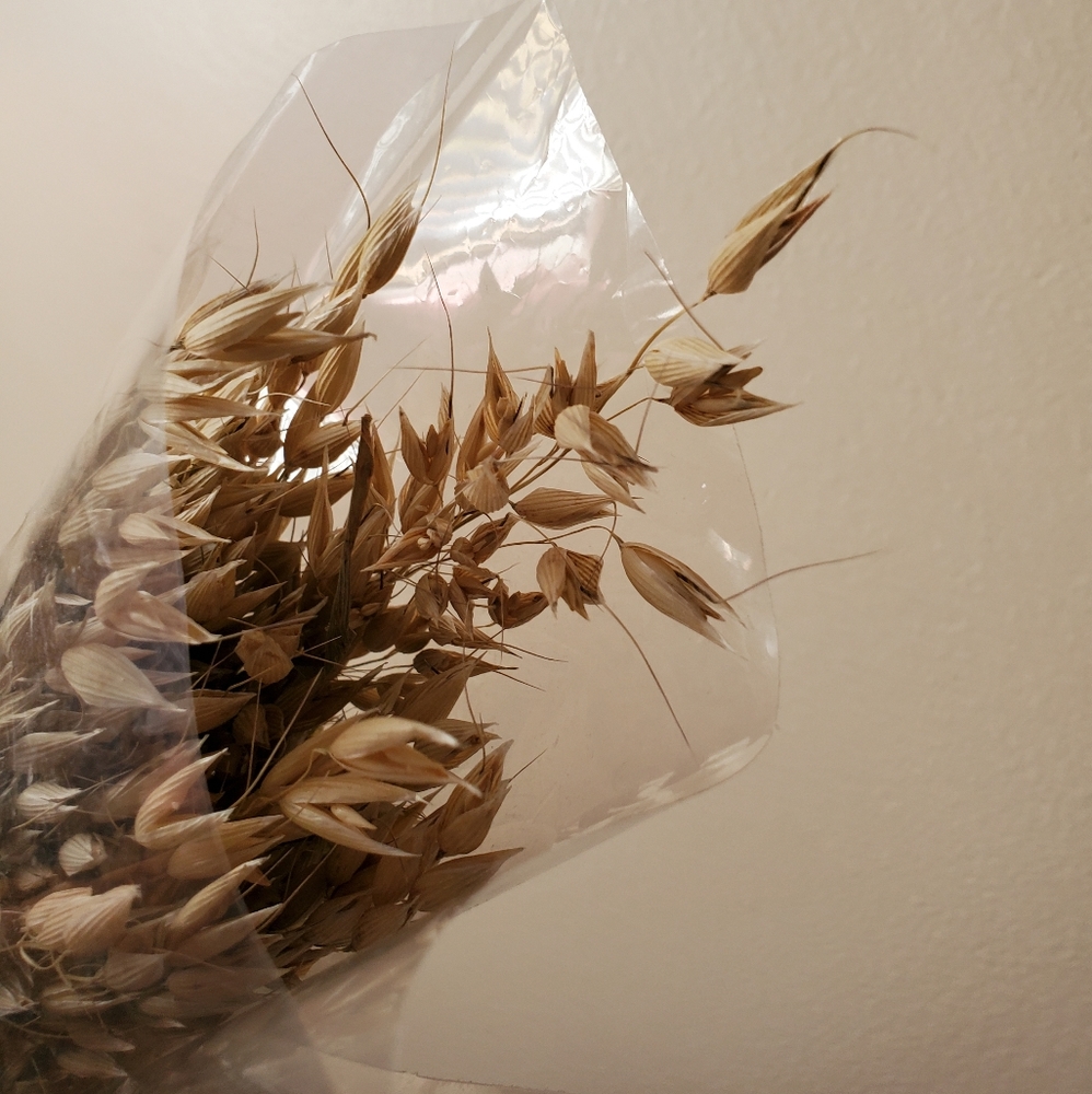 Dried Wheatgrass